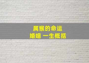 属猴的命运 婚姻 一生概括